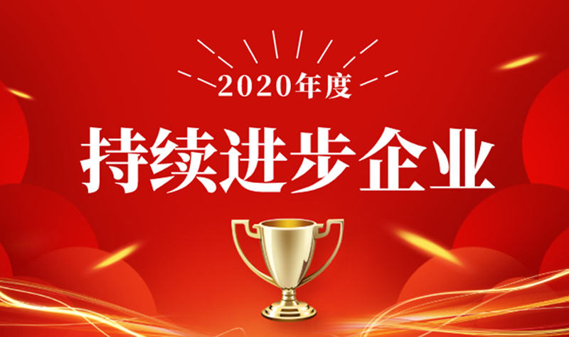 笃行致远 砥砺奋进 | 凯视达荣获 “2020 年度持续进步企业”称号